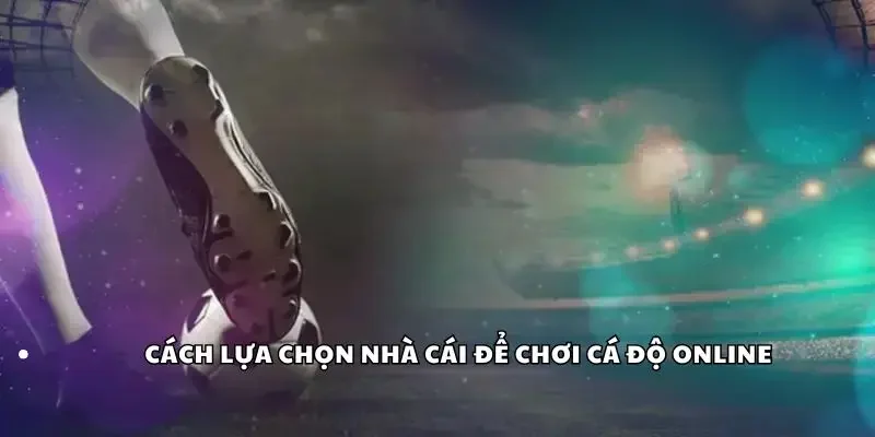 Cách lựa chọn nhà cái để chơi cá độ online