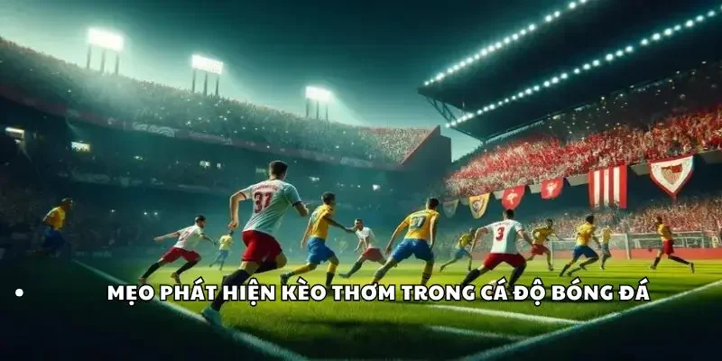 Mẹo phát hiện kèo thơm trong cá độ bóng đá