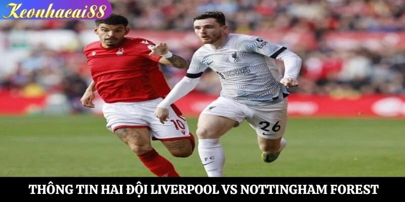 Khám phá thông tin hai đội Liverpool vs Nottingham Forest