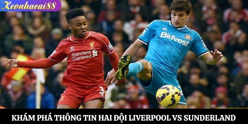 Khám phá thông tin hai đội Liverpool vs Sunderland