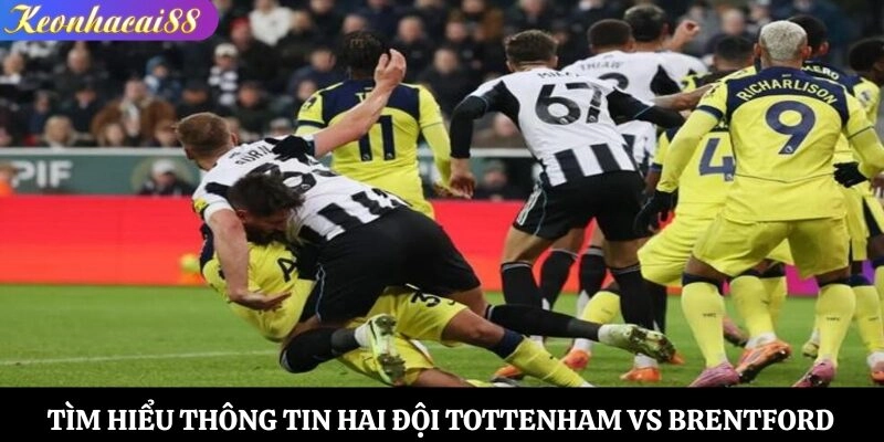 Tìm hiểu thông tin hai đội Tottenham vs Brentford