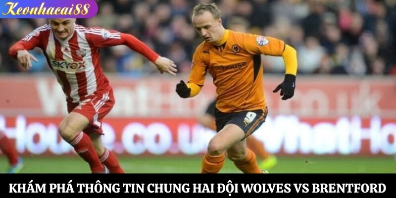 Khám phá thông tin chung hai đội Wolves vs Brentford