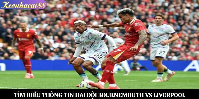 Tìm hiểu thông tin hai đội Bournemouth vs Liverpool