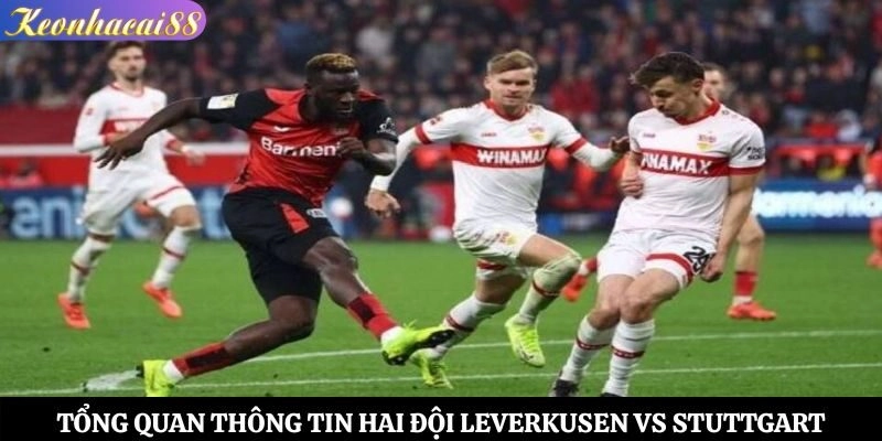 Tổng quan thông tin hai đội Leverkusen vs Stuttgart